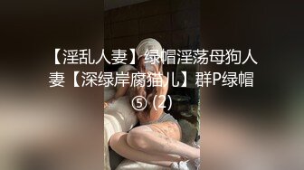 国产麻豆AV MSD MSD069 旗袍女神 新人女优 林晓雪