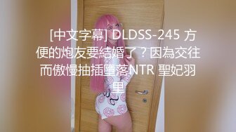    [中文字幕] DLDSS-245 方便的炮友要結婚了？因為交往而傲慢抽插墮落NTR 聖妃羽里