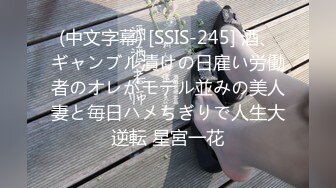 (中文字幕) [SSIS-245] 酒、ギャンブル漬けの日雇い労働者のオレがモデル並みの美人妻と毎日ハメちぎりで人生大逆転 星宮一花