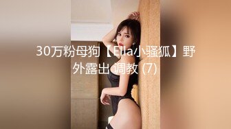 30万粉母狗【Ella小骚狐】野外露出 调教 (7)