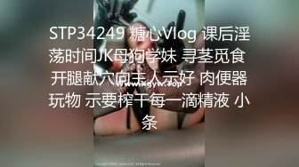 STP34249 糖心Vlog 课后淫荡时间JK母狗学妹 寻茎觅食 开腿献穴向主人示好 肉便器玩物 示要榨干每一滴精液 小条