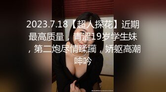 【陈导探花】约操清纯校园女神，情趣黑丝温柔体贴高清源码录制