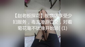 小姐姐，一把豪乳手感极佳，风月老手调情在线教学