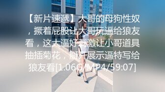 这巨无霸打桩爽