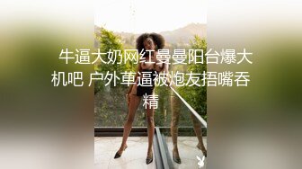 《绝版资源收藏分享》衣食无忧华裔千金Amelia Wang行为艺术下海被生猛爆肏蹂躏强颜欢笑！仅此三部