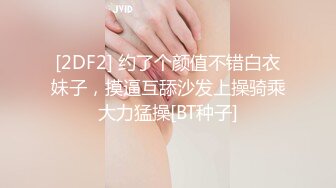 车震已婚少妇