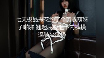 【新片速遞】 路边沟厕全景偷拍皮肤白皙小骚妇❤️性生活频繁木耳被打磨的光滑毛少