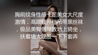 成都少妇系列