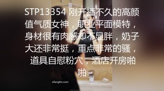 STP13354 刚开播不久的高颜值气质女神，职业平面模特，身材很有肉感却不显胖，奶子大还非常挺，重点非常的骚， 道具自慰粉穴，酒店开房啪啪