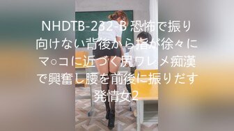 NHDTB-232-B 恐怖で振り向けない背後から指が徐々にマ○コに近づく尻ワレメ痴漢で興奮し腰を前後に振りだす発情女2