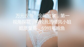 舔逼门徒，视觉派【91龍十三】一脸性冷淡的小姐姐，玩穴暴插风月老将出手，高潮迭起娇喘响起来，超清画质实力新人