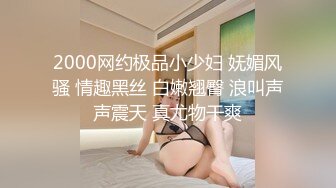 2000网约极品小少妇 妩媚风骚 情趣黑丝 白嫩翘臀 浪叫声声震天 真尤物干爽