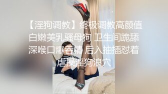 自慰的骚老婆2