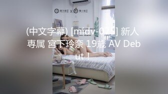 牛逼大神【理想原创】约啪黑丝学生妹少妇VIP群流出 (3)