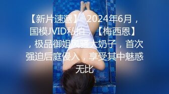 【新片速遞】  2024年6月，国模JVID私拍，【梅西恩】，极品御姐风骚大奶子，首次强迫后庭侵入，享受其中魅惑无比