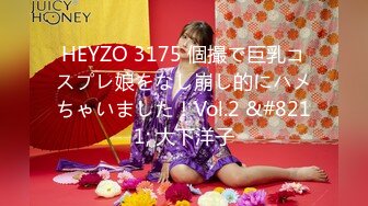 HEYZO 3175 個撮で巨乳コスプレ娘をなし崩し的にハメちゃいました！Vol.2 &#8211; 大下洋子