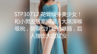 国产麻豆AV MD MD0225 骚女水电工 玥可岚