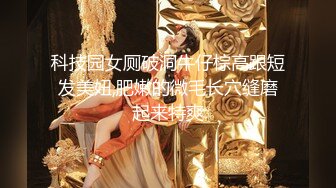 国内厕拍大神陆游四处尾随美女厕拍系列多场景隔板女厕近距离拍逼几个极品美逼