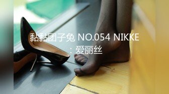 黏黏团子兔 NO.054 NIKKE：爱丽丝