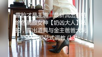 涩会传媒SH004 《我的嫂子是妓女》 漂亮嫂子无法忘 嫖娼意外从天降