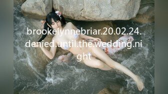 brookelynnebriar.20.02.24.denied.until.the.wedding.night