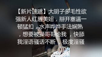 [上海]喂兔子吃胡萝卜之二