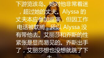 Alyssa 正在当地导游的带领下游览该岛。她对他非常着迷，超过她的丈夫。Alyssa 的丈夫本应参加巡演，但因工作电话被耽搁，所以 Alyssa 没有带他去。艾丽莎和乔斯的性紧张是显而易见的。乔斯出手了，艾丽莎想也没想就跳了下去。