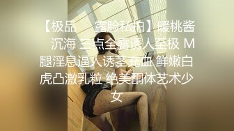 STP26469 ?顶级女神? 超级丝袜控180大长腿女神▌苹果▌我的室友 第四篇 赏花2开档黑丝再邀单男 湿嫩小穴采精爆射 VIP0600